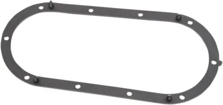 Drag Specialties Seal For Fuel Pump Door For 2002-2007 FLHT/FLTR/FLHR (I01-0143)