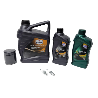 Service Kit For 1984-1999 Big Twin Models