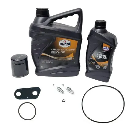 Service Kit For 1986-2006 Sportster Models with Carb. 