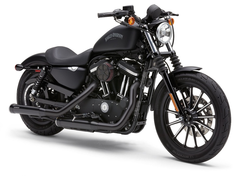 Cobra Sportster Heat Shields In Black For Harley Davidson 2014-2020  Sportster Motorcycles (6031HSRB) | ARH Custom USA