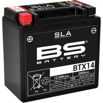 BS Battery SLA Factory-Activated AGM Maintenance-Free Batteries 12V 200A For 2015-2016 Indian Scout 69, 1996-2010 Buell Models (300681)
