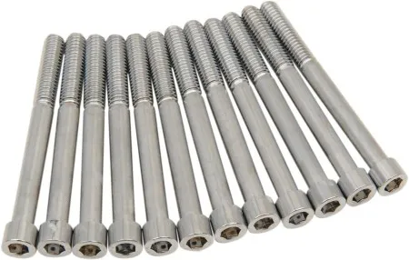 Drag Specialties Smooth Crankcase Bolt Kit Socket Head Chrome For 2017-2020 FLHT/FLHR/FLHX/FLTRX/FLTRU Models (MK778S)