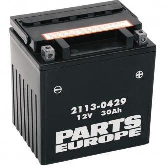 Parts Europe Battery AGM Maintenance Free 12V 30 AH 385A in Black Finish For 1999-2020 FLT/FLHT/FLHX/FLHR FLTR And H-D FL Trikes Models (CTX30L-BS)