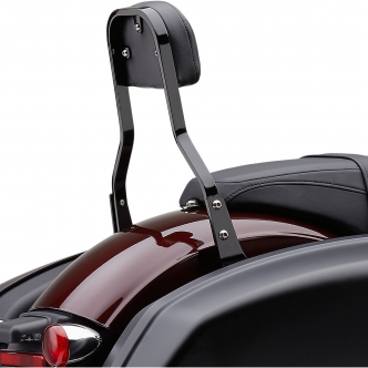 Cobra Detachable Square 14 Inch Backrest Kit in Black Finish For 2018-2021 FLSB Models (602-2051B)