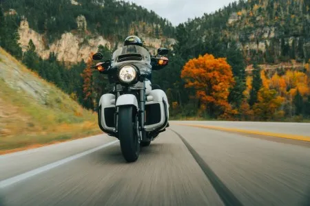 Legend Air Suspension 41mm AXEO M8 Front End Suspension For Harley Davidson 2000-2017 Softail Motorcycles (0414-0600)