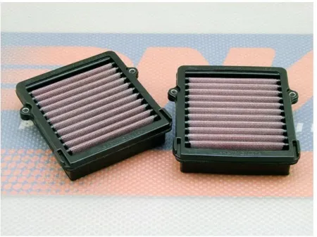 Dna Air Filter Element (P-H10E16-01)