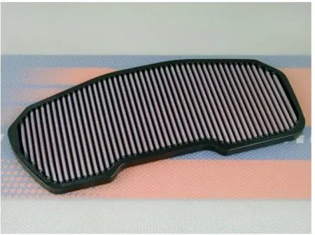 Dna Air Filter Element (P-K10S15-H2R)