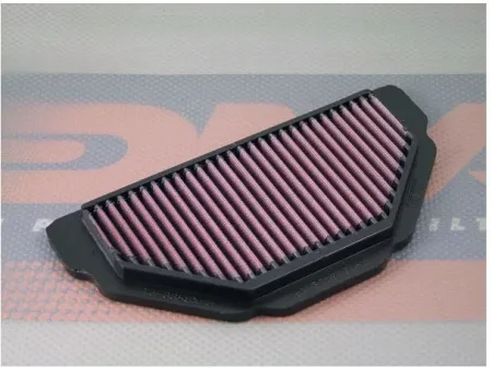 Dna Air Filter Element (P-K6S98-01)
