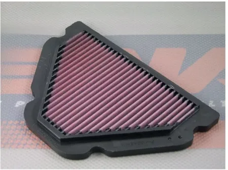 Dna Air Filter Element (P-K9S98-01)