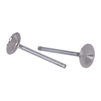 Manley, Severe Duty Stainless Valves, INTAKE. STD (ARM828315)