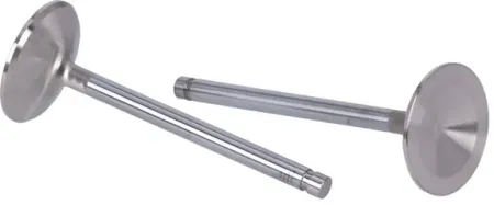 Manley, Severe Duty Stainless Valves, INTAKE. STD (99008-2)