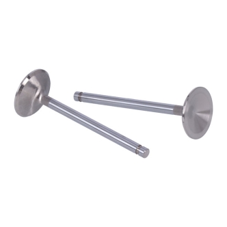 Manley, Severe Duty Stainless Valves, INTAKE. STD (ARM628315)