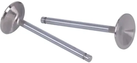 Manley, Severe Duty Stainless Valves, INTAKE. STD (99080-2)