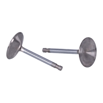 Manley, Severe Duty Stainless Valves, INTAKE. STD (ARM538315)
