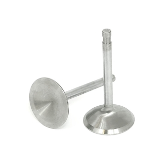 Manley, Severe Duty Stainless Valves, INTAKE. STD (ARM048315)