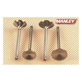 Manley, Severe Duty Stainless Valves, INTAKE. Conversion (ARM168315)