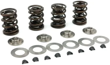 Manley, High Lift Valve Spring KIT. .500