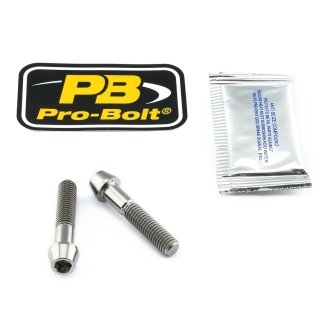Pro Bolt Axle Pinch Bolt Kit Titan, Front (TIFAPINCH110)