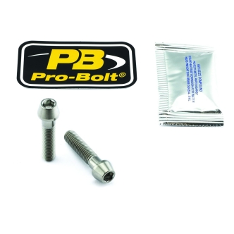 Pro Bolt Axle Pinch Bolt Kit Titan, Front (TIFAPINCH40)