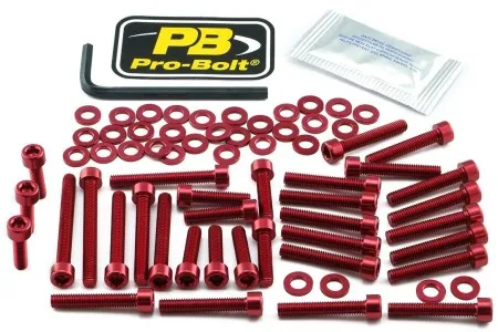 Pro Bolt Aluminium Engine Bolt Kit For BMW (EBM047R)