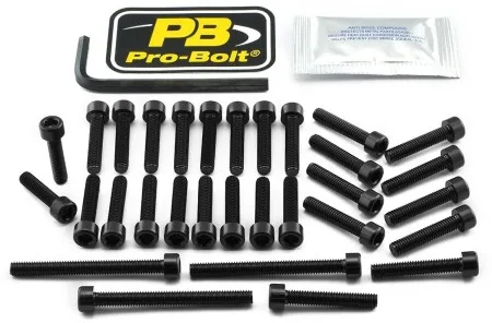 Pro Bolt Aluminium Engine Bolt Kit For Kawasaki (EKA410BK)