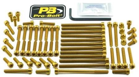 Pro Bolt Aluminium Engine Bolt Kit For KTM (EKTM100G)