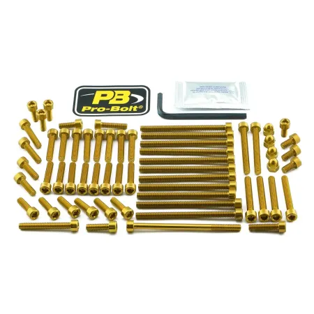Pro Bolt Aluminium Engine Bolt Kit For KTM (EKTM100G)