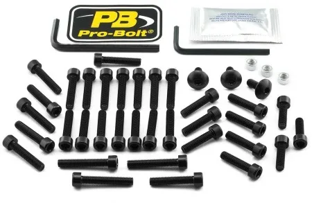 Pro Bolt Aluminium Engine Bolt Kit For Suzuki (ESU210BK)