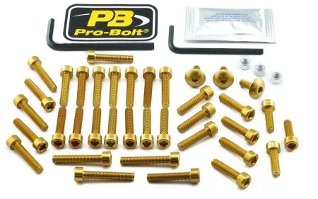 Pro Bolt Aluminium Engine Bolt Kit For Suzuki (ESU210G)