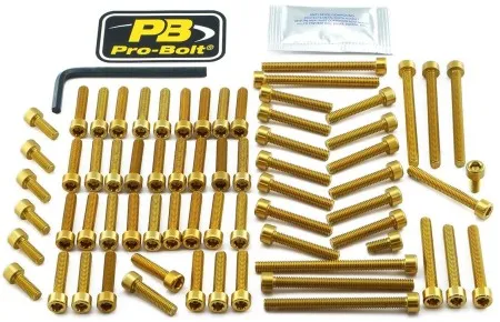 Pro Bolt Aluminium Engine Bolt Kit For BMW (EYA500G)
