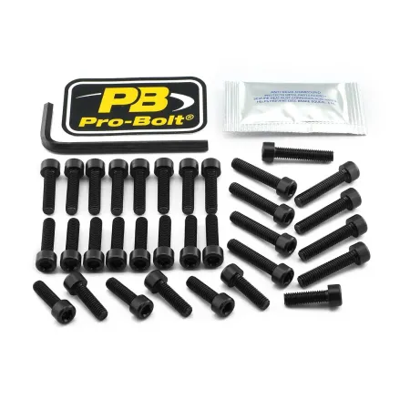 Pro Bolt Aluminium Engine Bolt Kit For BMW (EYA700BK)