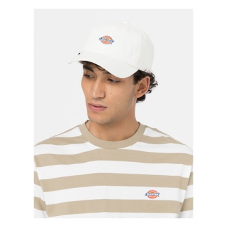 Dickies Hardwick Cap Cloud (ARM729459)