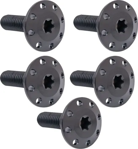 Arlen Ness Titanium Brake Rotor Bolt Kit In Black For 2014-2023 Touring & 2014-2025 Road King Special (300-907)
