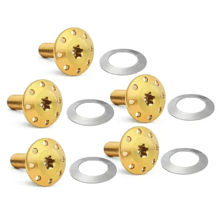 Arlen Ness Titanium Brake Rotor Bolt Kit In Gold For 2024-2026 Touring Models (300-916)