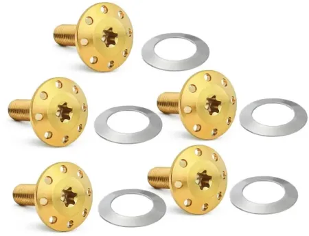 Arlen Ness Titanium Brake Rotor Bolt Kit In Gold For 2014-2023 Touring & 2014-2025 Road King Special (300-908)