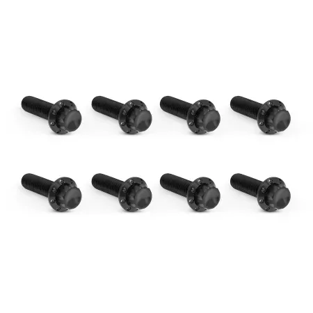 Arlen Ness Titanium 12-point Trap Door Bolt Kit In Black For 2007-2017 Twin Cam Models (300-713)