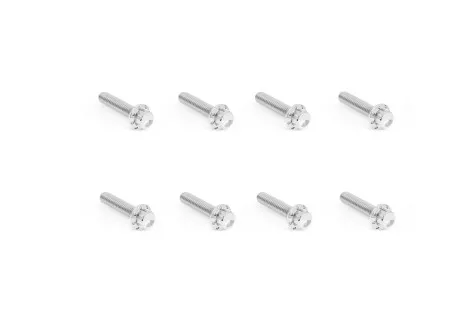 Arlen Ness Titanium 12-point Trap Door Bolt Kit In Polished For 2017-2026 M8 Softail & Touring Models (300-709)