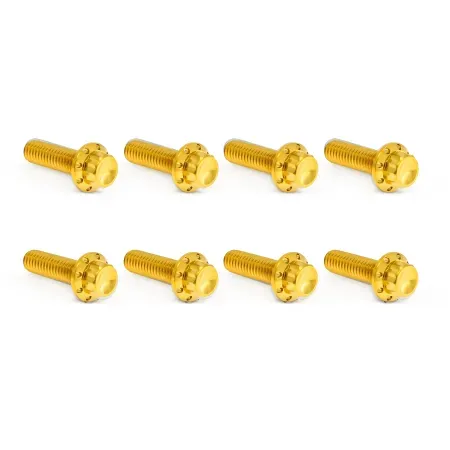 Arlen Ness Titanium 12-point Trap Door Bolt Kit In Gold For 2017-2026 M8 Softail & Touring Models (300-711)