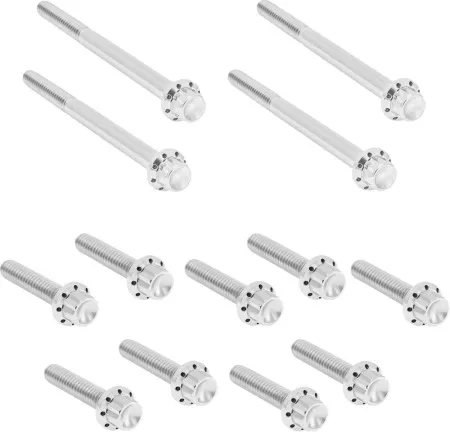 Arlen Ness Titanium Primary Cover Bolt Kit In Polished For Harley Davidson 2018-2026 Softail (Exc. FLFB/FXBR & FXDR) (300-929)