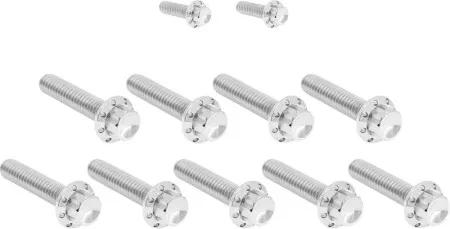 Arlen Ness Titanium Cam Cover Bolt Kit In Polished For Harley Davidson 2018-2024 Softail & 2017-2025 Touring (Gen 1) (300-932)