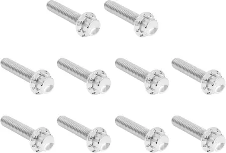 Arlen Ness Titanium Cam Cover Bolt Kit In Polished For 1999-2017 Harley Davidson Twin Cam (300-986)