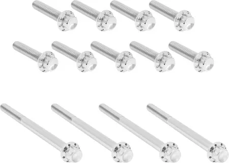 Arlen Ness Titanium Primary Cover Bolt Kit In Polished For Harley Davidson 2007-2016 Touring (300-989)