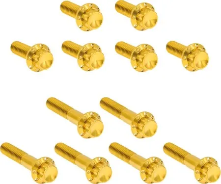 Arlen Ness Titanium Rocker Box Bolt Kit In Gold For 1999-2017 Harley Davidson Twin Cam (300-994)