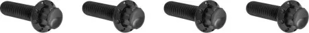 Arlen Ness Titanium Transmission Top Cover Bolt Kit In Black For Harley Davidson 2024-2026 Milwaukee Eight (Gen 2) (300-978)