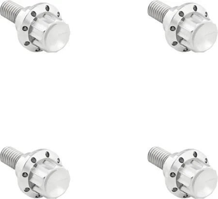 Arlen Ness 12-Point Windshield Bolt Kit In Polished For Harley Davidson 2023 Road Glide CVO & 2024-2026 Road Glide (300-809)
