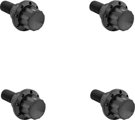 Arlen Ness 12-Point Windshield Bolt Kit In Black For Harley Davidson 2023 Road Glide CVO & 2024-2026 Road Glide (300-810)