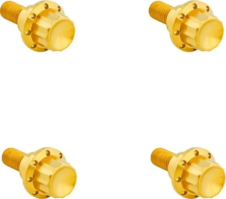 Arlen Ness 12-Point Windshield Bolt Kit In Gold For Harley Davidson 2023 Road Glide CVO & 2024-2026 Road Glide (300-811)