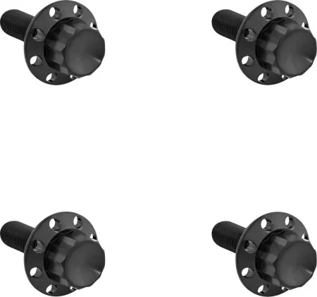 Arlen Ness Titanium 12-Point Windshield Bolts In Black For 2015-2023 Road Glide & 2024 Road Glide Limited (300-816)