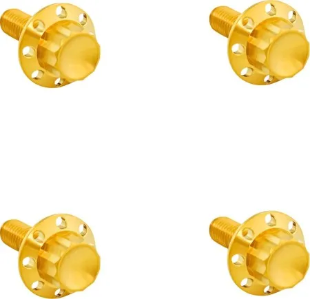 Arlen Ness Titanium 12-Point Windshield Bolts In Gold For 2015-2023 Road Glide & 2024 Road Glide Limited (300-817)