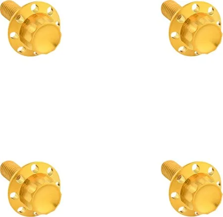 Arlen Ness 12-Point Windshield Bolt Kit In Gold For Harley Davidson 2023 Street Glide CVO & 2024-2026 Street Glide (300-841)